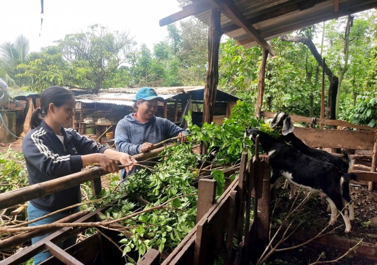 phu nu thay doi nep nghi, cach lam de phat trien kinh te, giam ngheo ben vung hinh anh 1