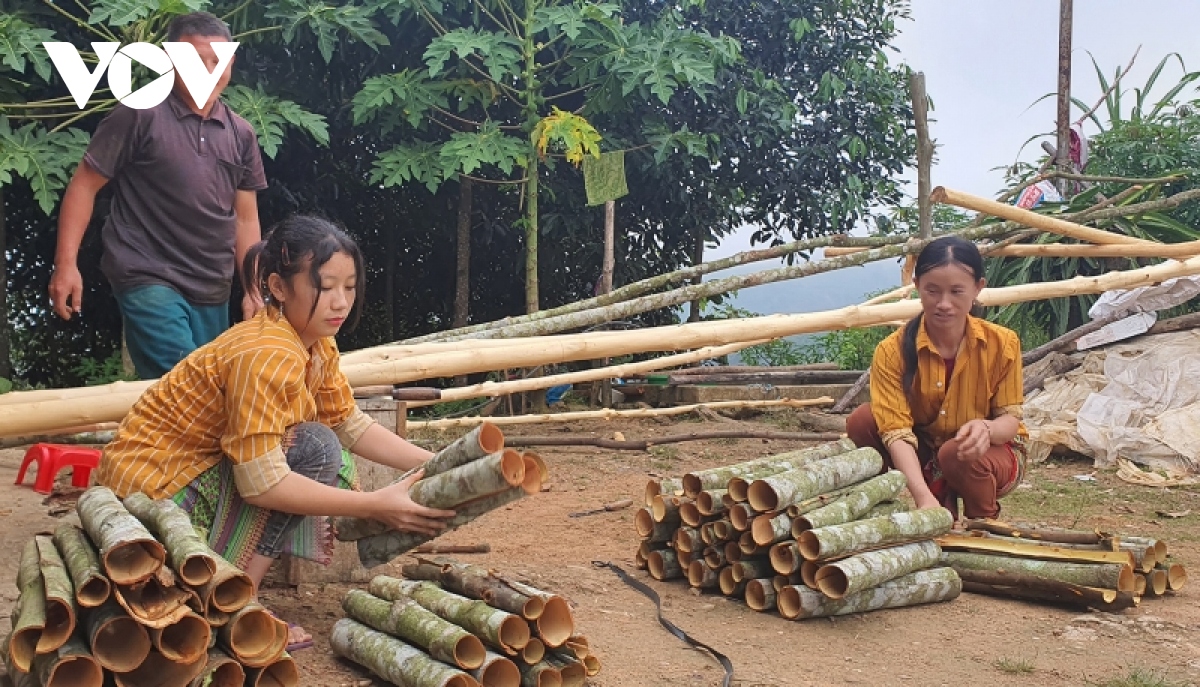 nong nghiep lao cai di sau, ve truoc hinh anh 1