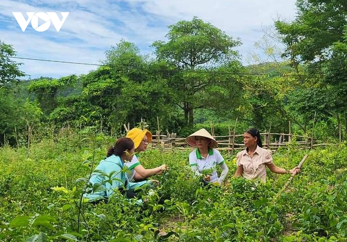 san thuong mai dien tu dua nong san viet vuon ra the gioi hinh anh 3