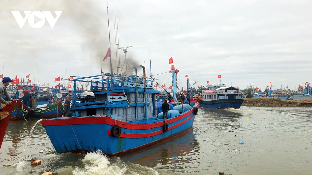 ngu dan quang ngai ron rang mua bien moi hinh anh 1