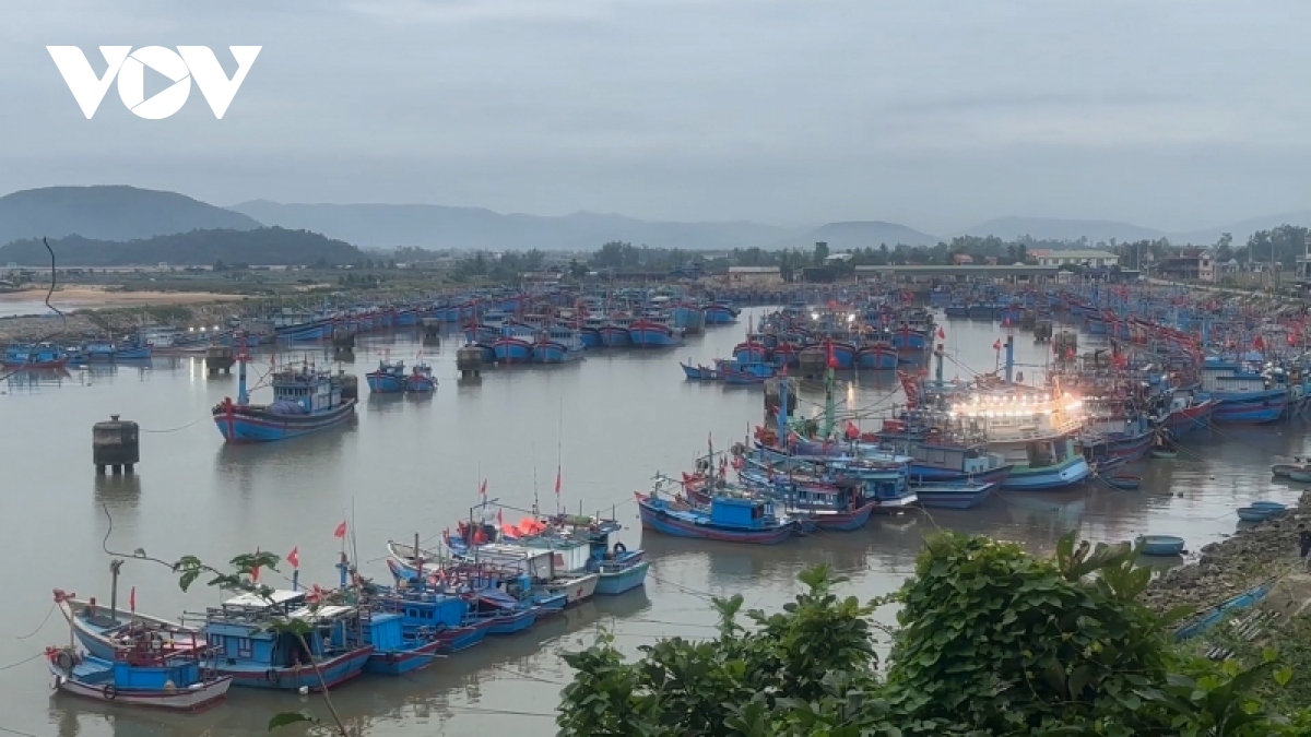 ngu dan quang ngai mo bien dau nam moi hinh anh 2