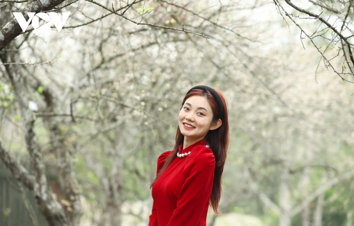 sac hoa xuan yen tu hinh anh 12