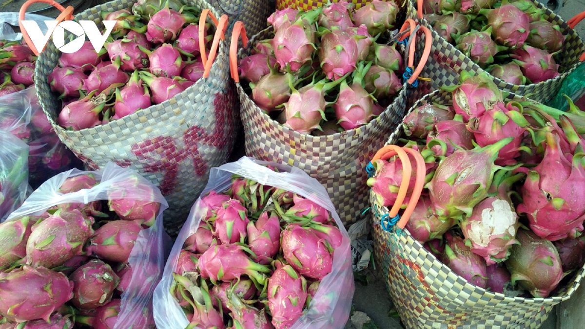 xuat khau rau qua can thuong xuyen cap nhat yeu cau tu cac thi truong hinh anh 1