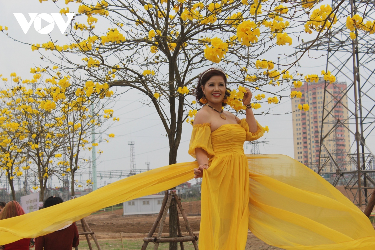 ngan ngo truoc ve dep cua mua hoa thang 2 o ha noi hinh anh 15