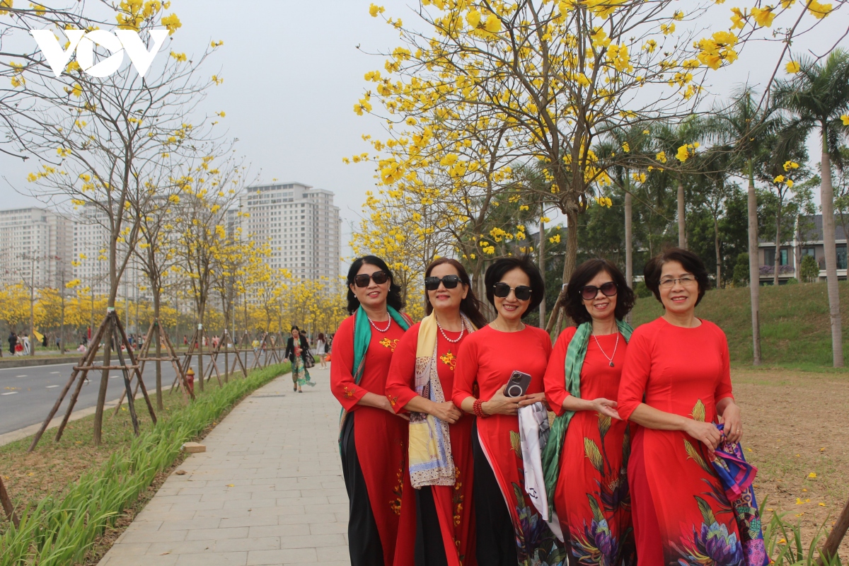 ngan ngo truoc ve dep cua mua hoa thang 2 o ha noi hinh anh 16