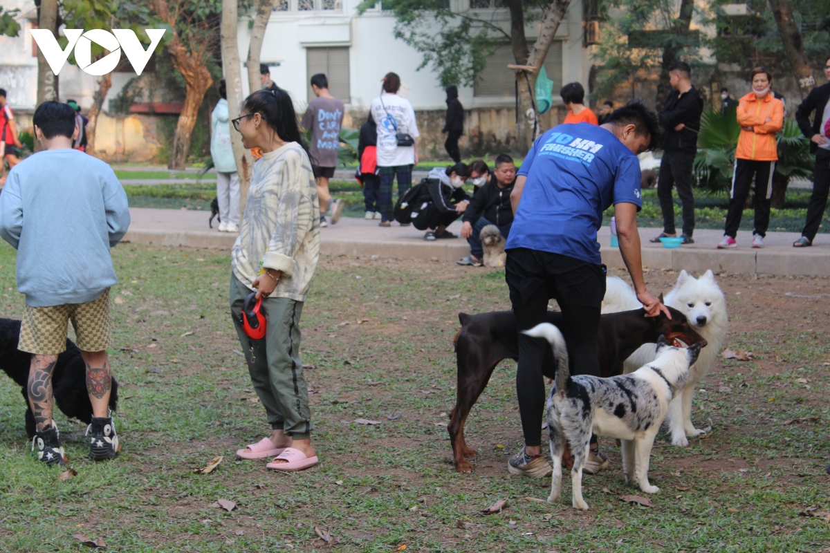 cho tha rong van nhan nhan trong cong vien, nguy hiem rinh rap nguoi dan hinh anh 11