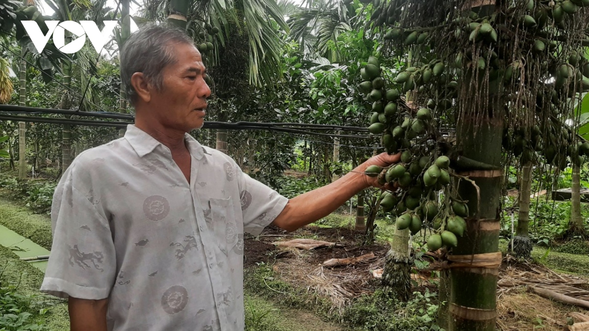 trai cau cho thu nhap cao nhung chi nen trong xen canh hinh anh 1