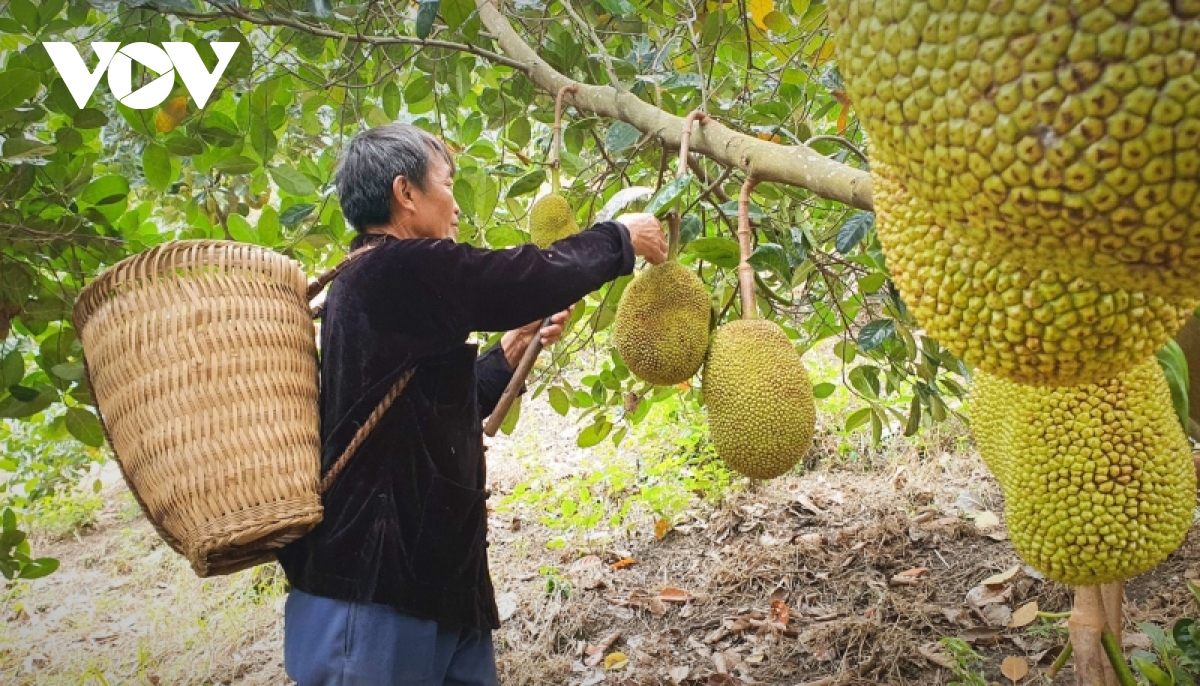 binh yen noi dau nguon song hong hinh anh 1