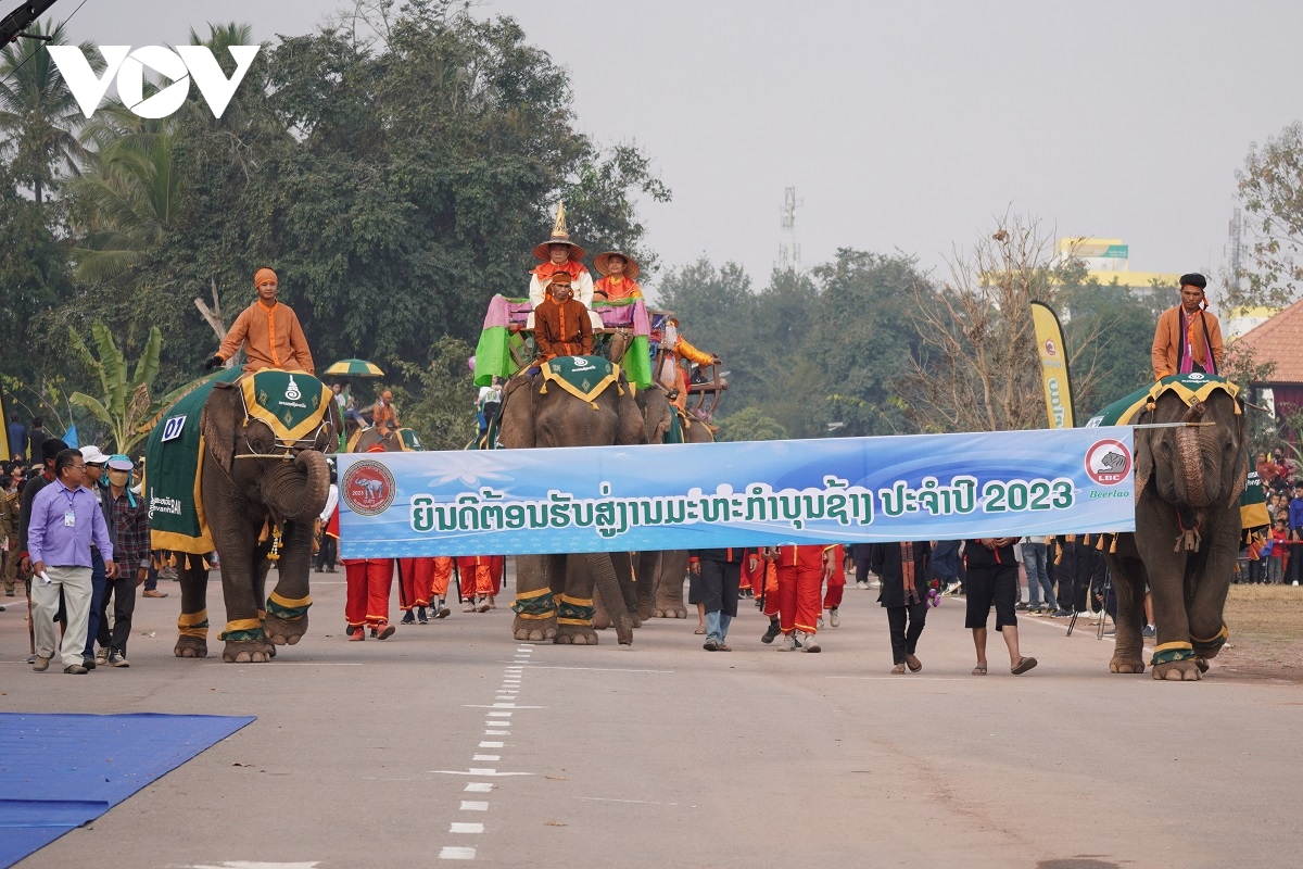Doc dao le hoi voi lon nhat cua lao hinh anh 1