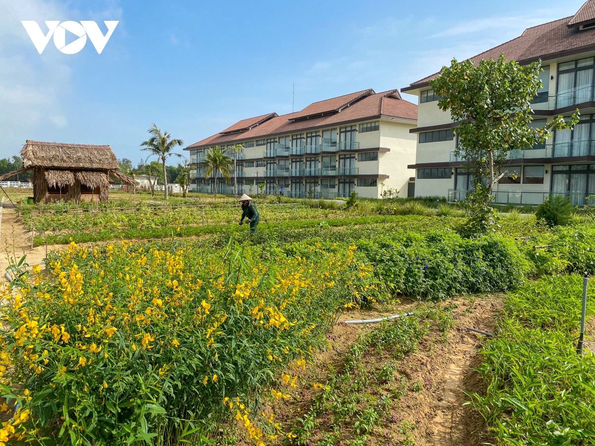 Den resort trai nghiem trong rau, nuoi ga hinh anh 4