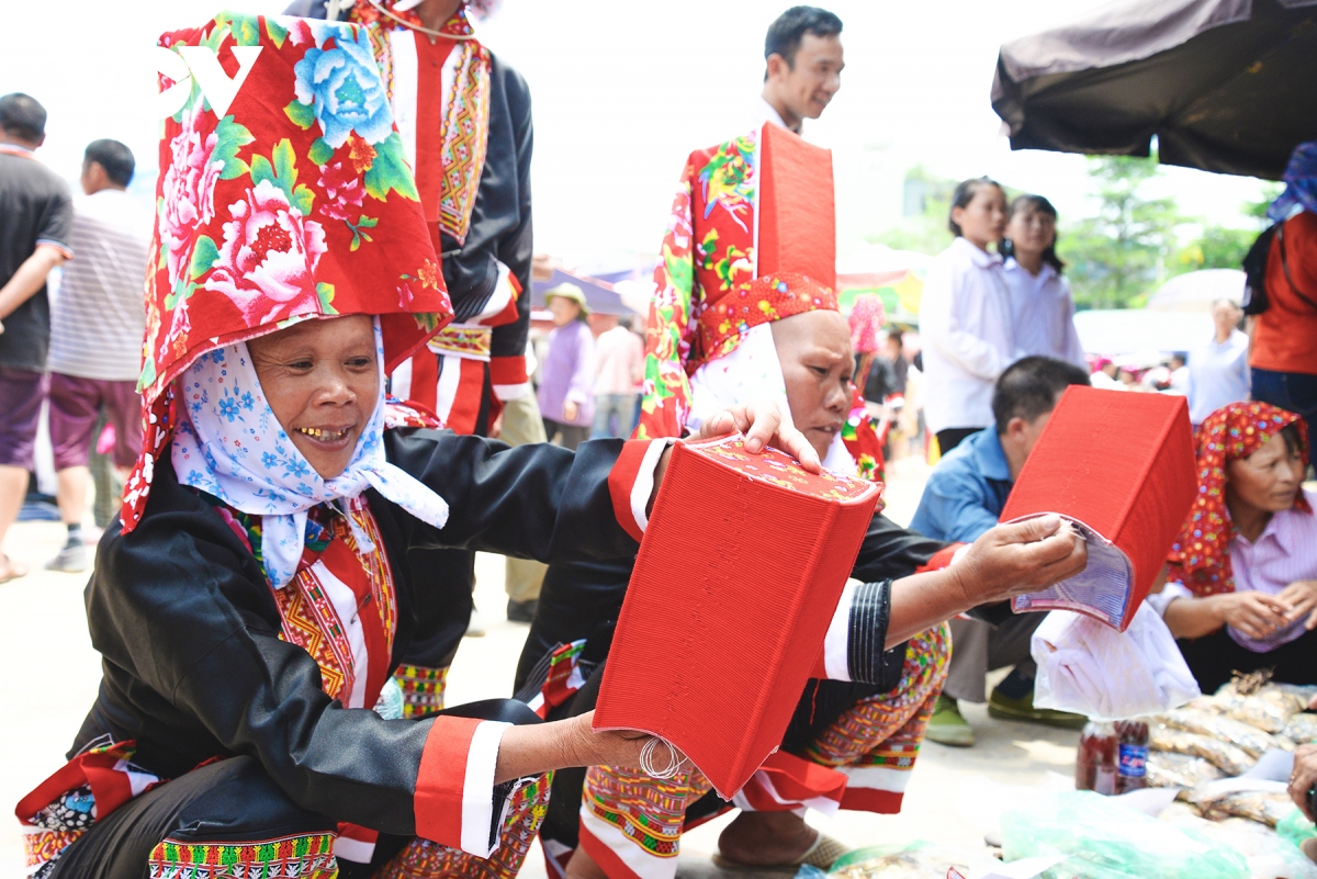 check-in cho phien vung cao binh lieu hinh anh 4