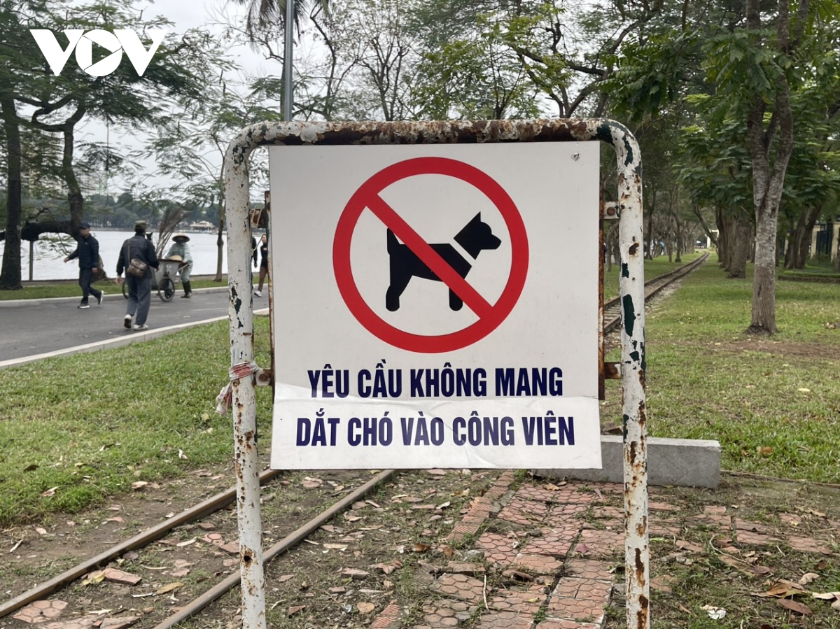 cho tha rong van nhan nhan trong cong vien, nguy hiem rinh rap nguoi dan hinh anh 2