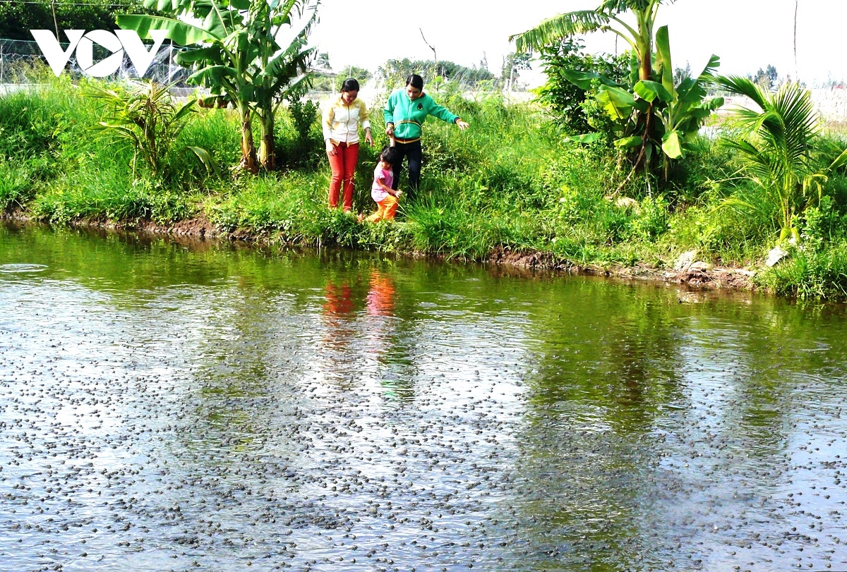 ca keo thuong pham tang gia ky luc, ca giong hiem nguon cung hinh anh 2