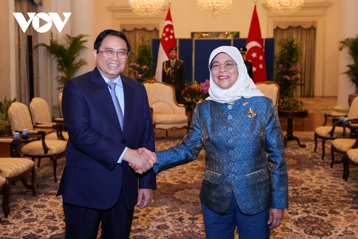 thu tuong pham minh chinh hoi kien voi tong thong singapore halimah yacob hinh anh 1