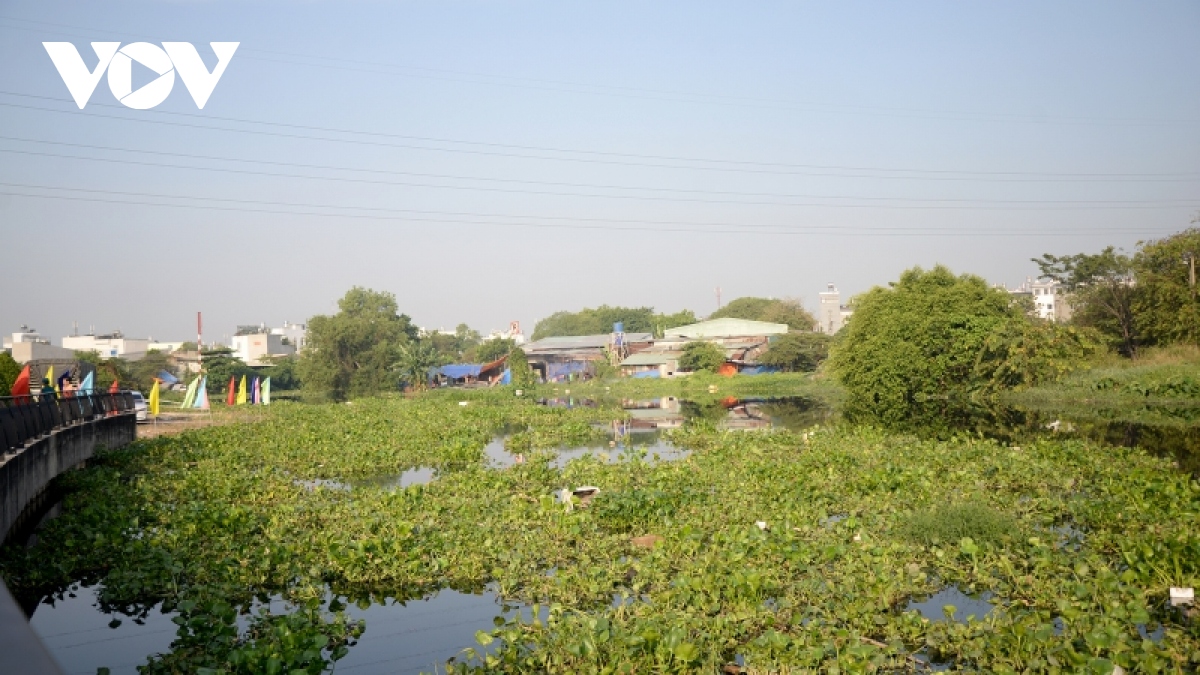 khoi cong du an 8.200 ty dong de hoi sinh kenh tham luong - ben cat - rach nuoc len hinh anh 4