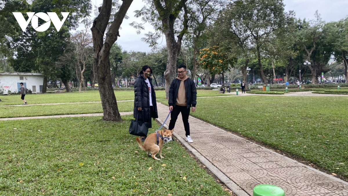 cho tha rong van nhan nhan trong cong vien, nguy hiem rinh rap nguoi dan hinh anh 7