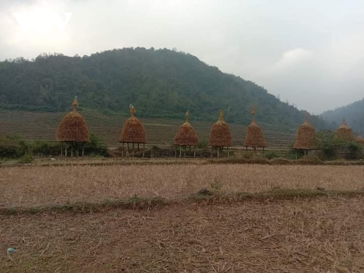 Doc dao nghe lam ghe rom cua nguoi tay cao bang hinh anh 1