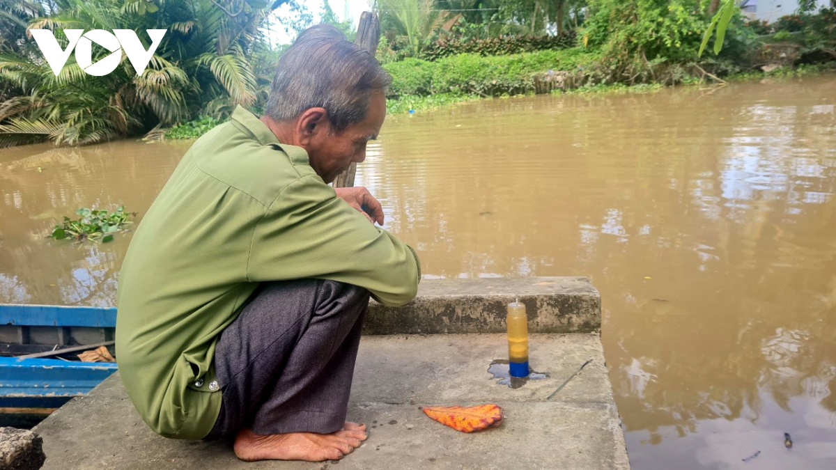 nuoc man ve cham, nguoi nuoi tom kien giang tre lich thoi vu hinh anh 1