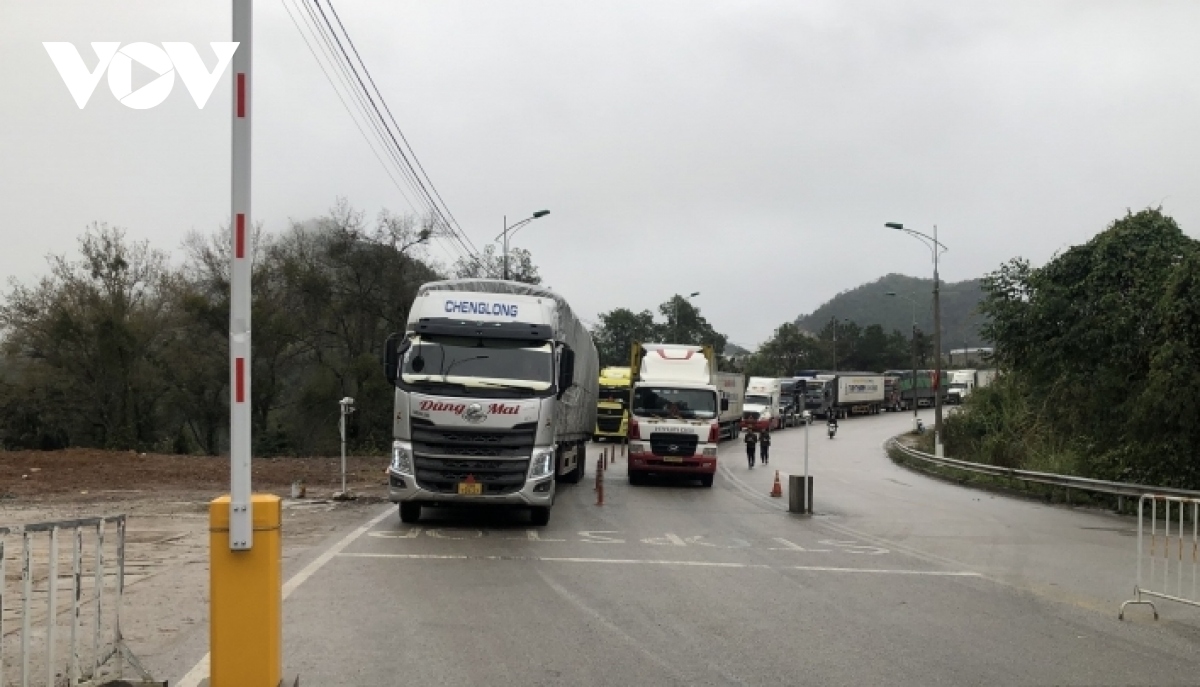 lang son xuat nhap khau nong san qua cua khau nhon nhip tro lai hinh anh 1