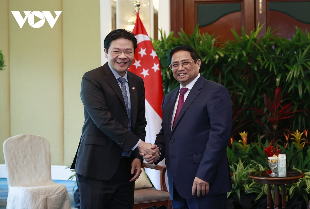 viet nam- singapore nhat tri tang cuong co che hop tac giua hai chinh phu hinh anh 1