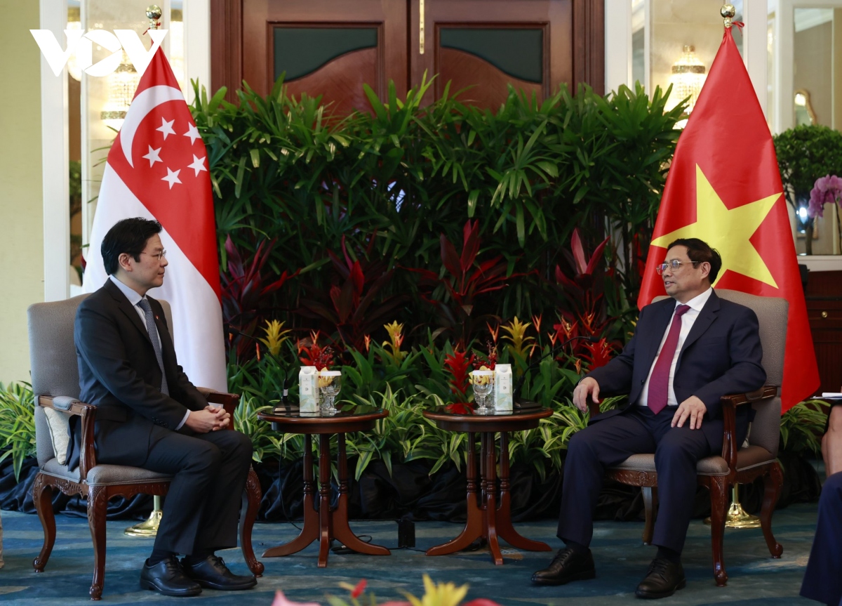 viet nam- singapore nhat tri tang cuong co che hop tac giua hai chinh phu hinh anh 2