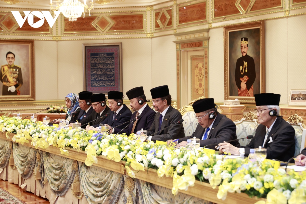thu tuong pham minh chinh hoi dam voi quoc vuong brunei darussalam hinh anh 3