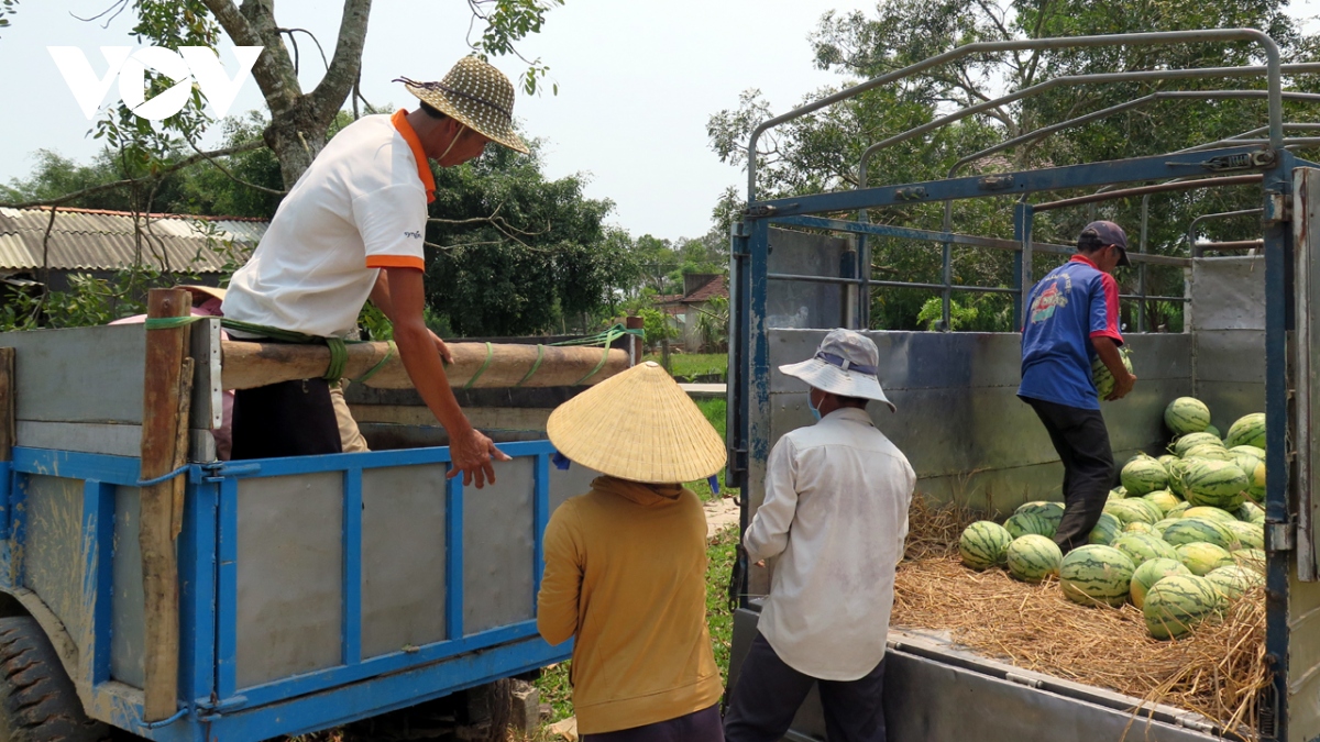 tai co cau nong nghiep, nang tam gia tri nong san o quang ngai hinh anh 2