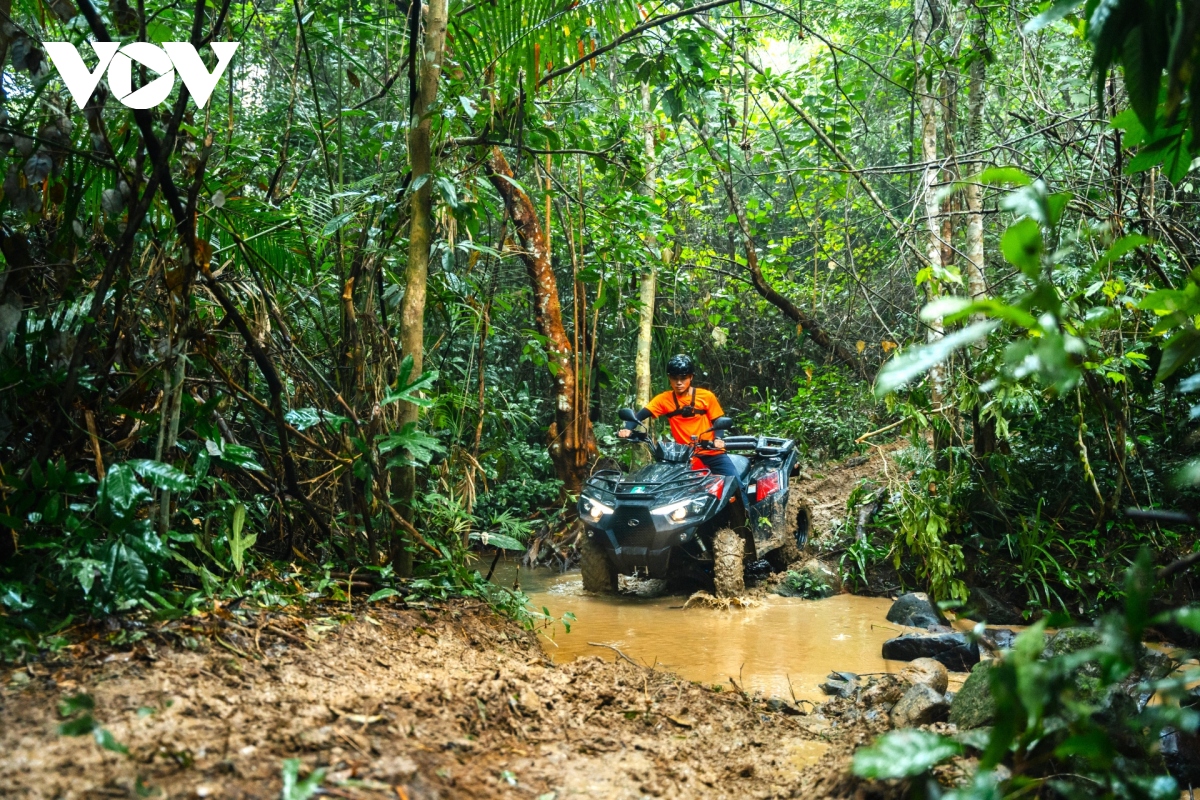lam du lich o vung ron lu quang binh hinh anh 4