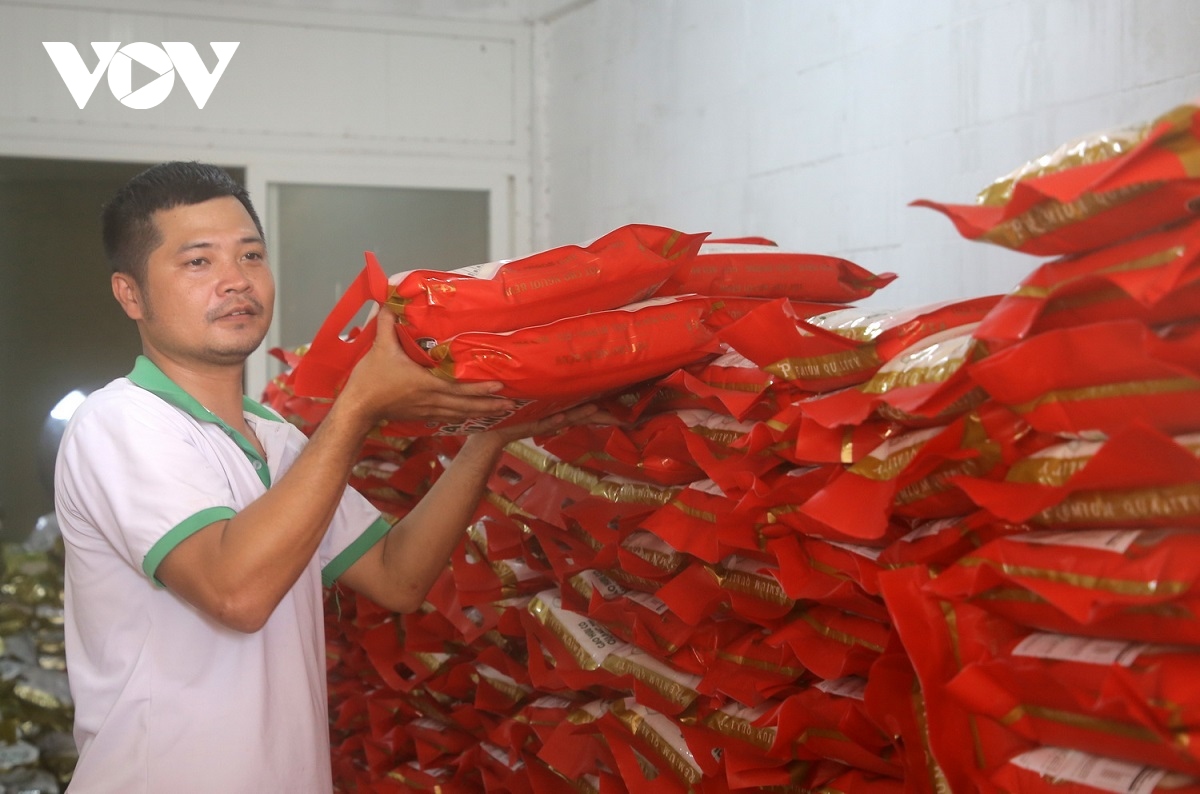 quang tri xuat khau lo hang gao huu co dau tien sang chau Au hinh anh 1