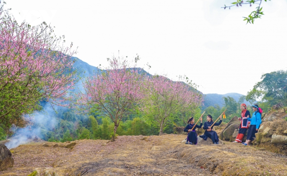 mua xuan tren dinh cao ba lanh hinh anh 1