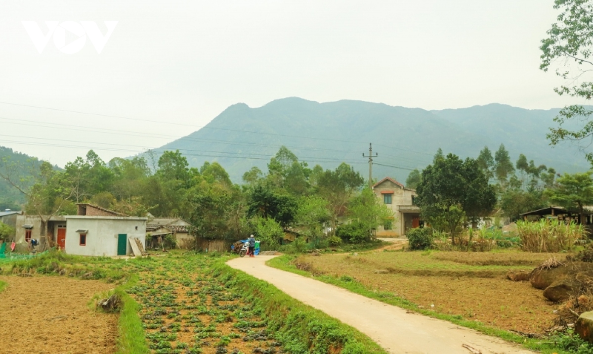 mua xuan tren dinh cao ba lanh hinh anh 2