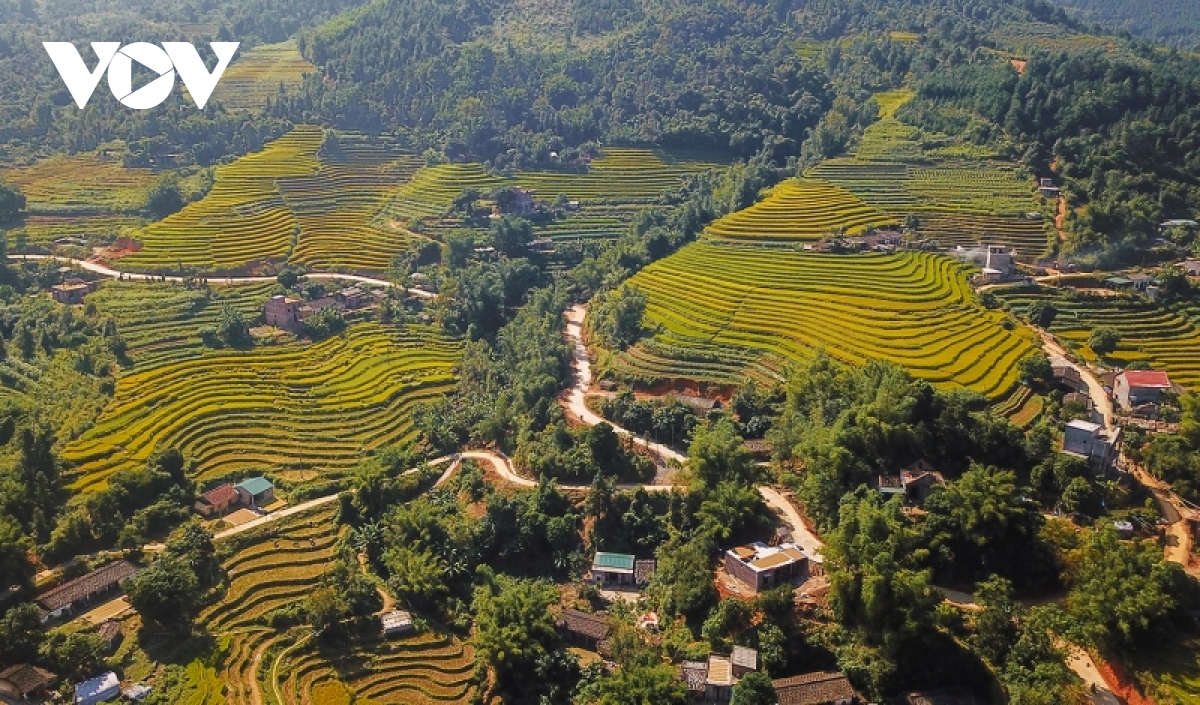 mua xuan tren dinh cao ba lanh hinh anh 3