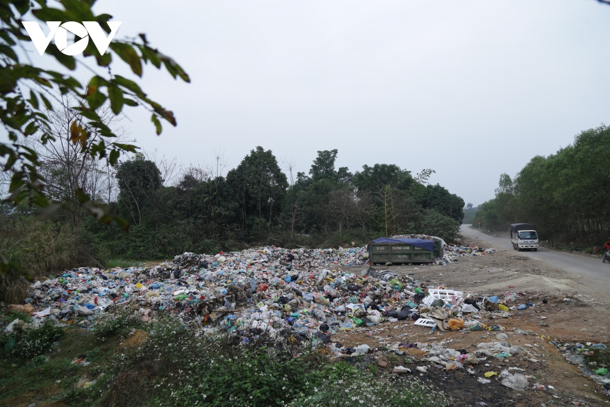 dan chan bai rac xuan son ha noi lam tat ca co the de thao go vuong mac hinh anh 3