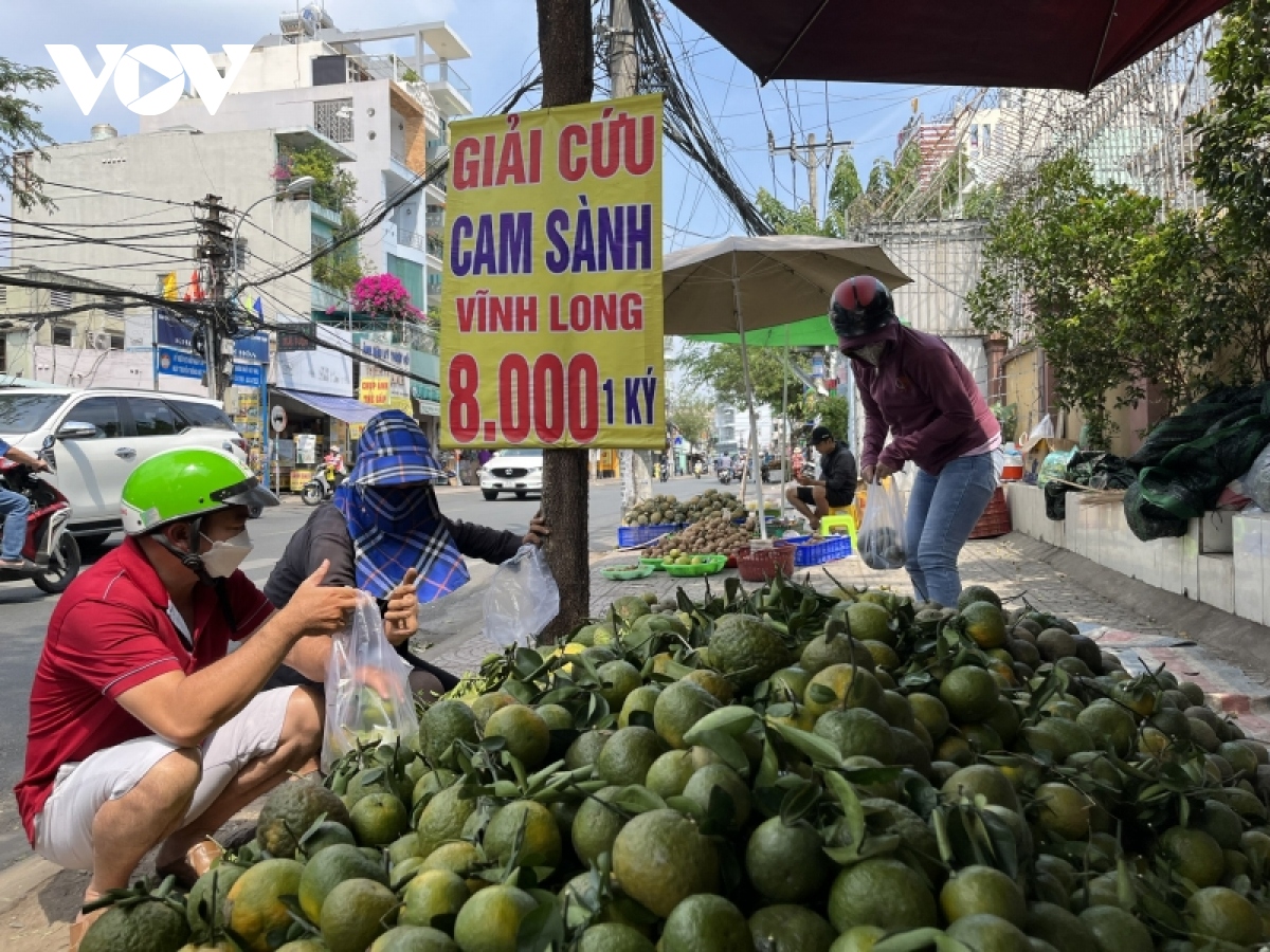 lai giai cuu cam sanh hinh anh 3