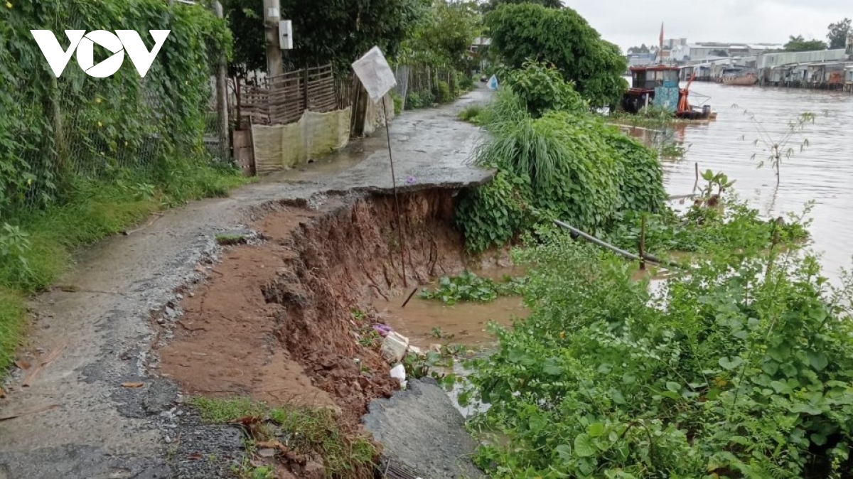 can nguon nguyen lieu thay the cat dang ngay mot khan hiem hinh anh 1