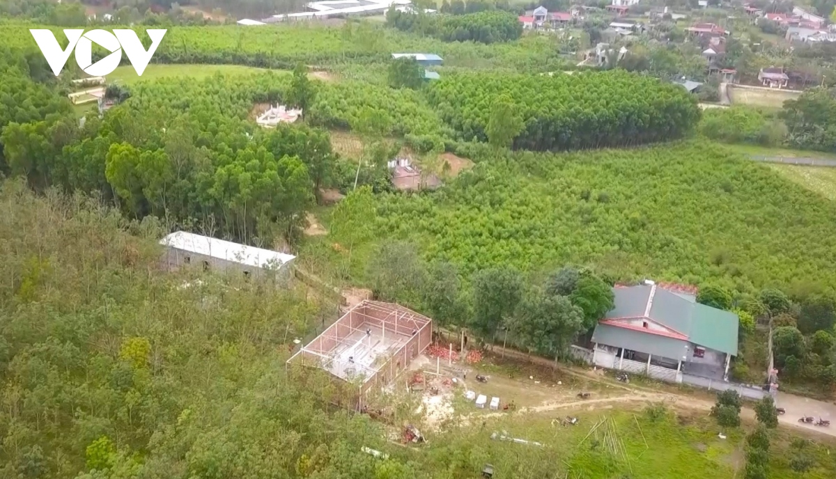 muon san xuat lon phai tich tu dat dai hinh anh 1