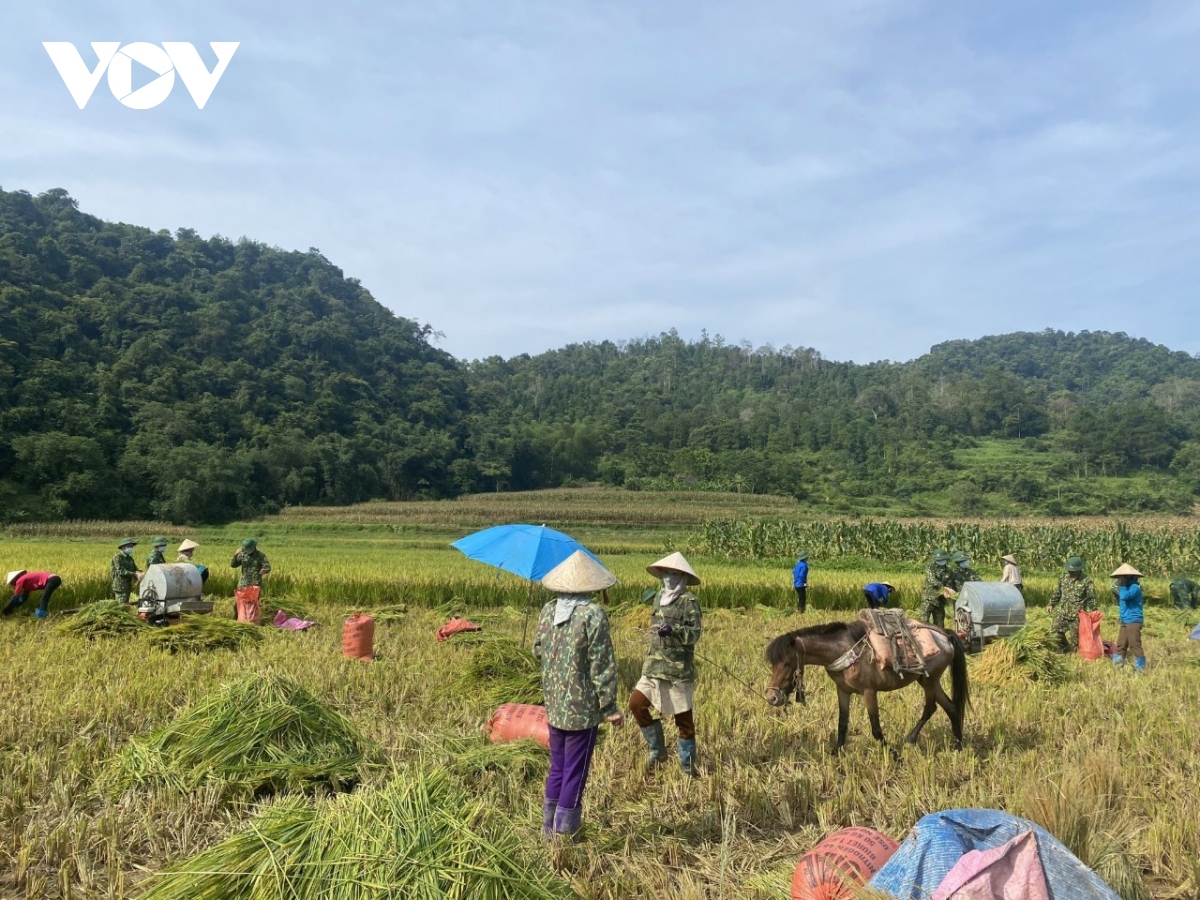 bo doi bien phong - cho dua vung chac cho dong bao vung cao hinh anh 1