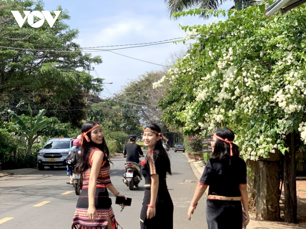 buon lang ron rang cung le hoi ca phe o Dak lak hinh anh 2