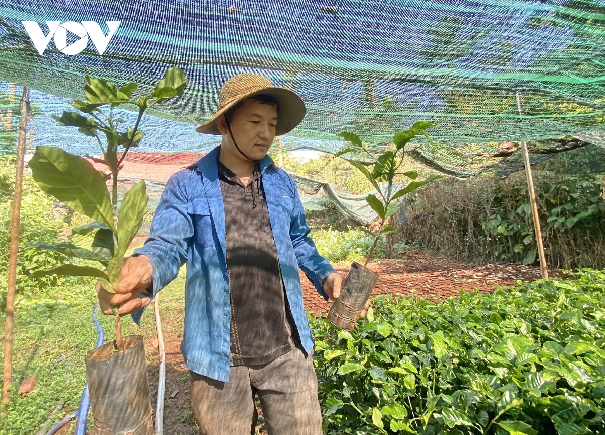 nhieu dang vien di dau, lam kinh te gioi hinh anh 1