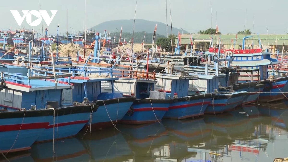 quang ngai mo dot cao diem 180 ngay chong khai thac hai san bat hop phap hinh anh 1