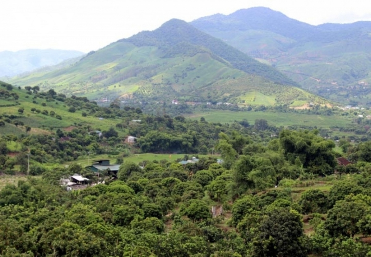 son la day manh lien ket san xuat de giam ngheo ben vung hinh anh 1