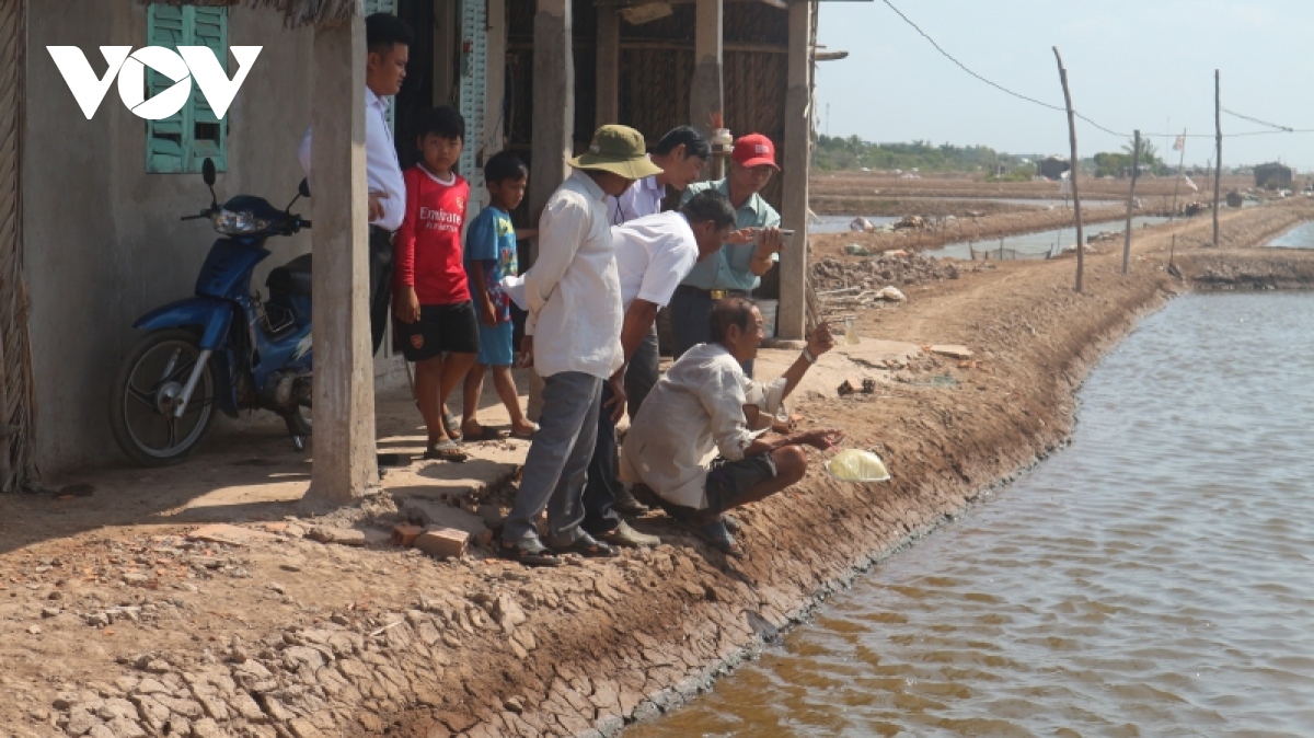 san xuat artemia ngay cang gap kho hinh anh 1
