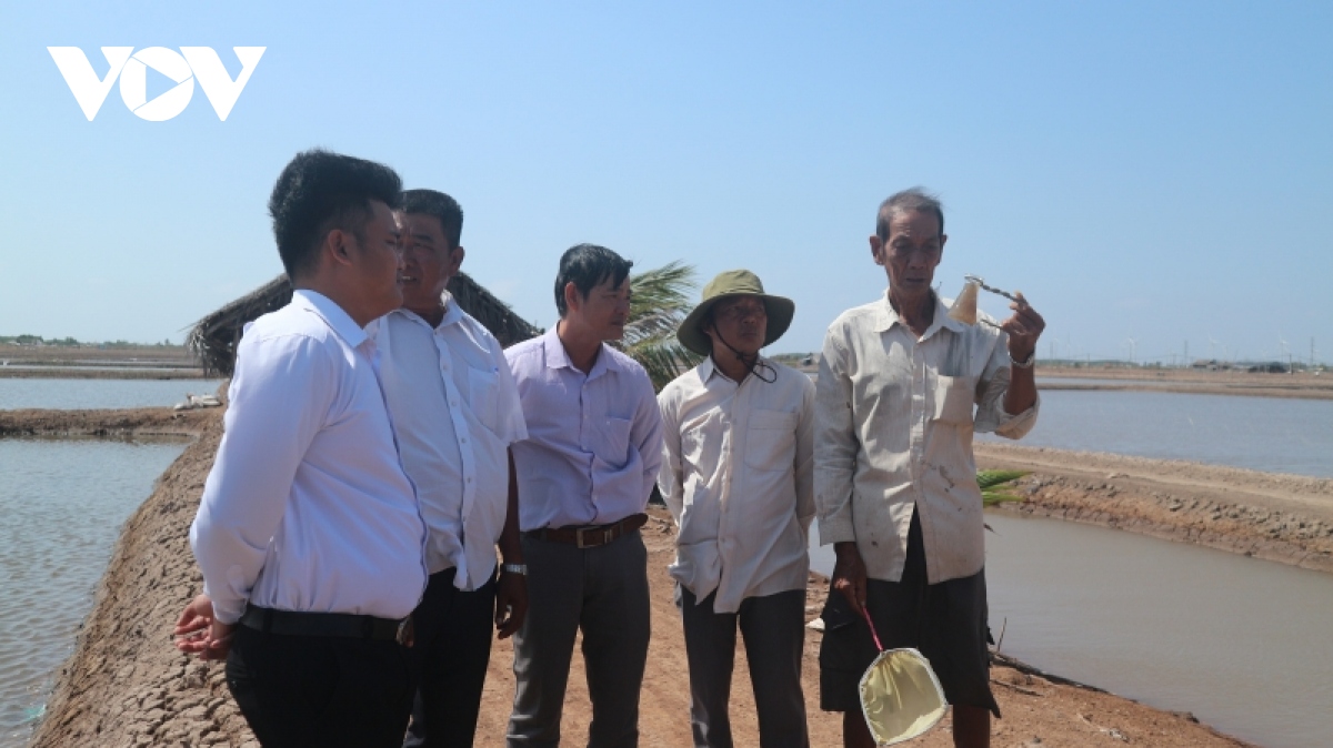 san xuat artemia ngay cang gap kho hinh anh 3