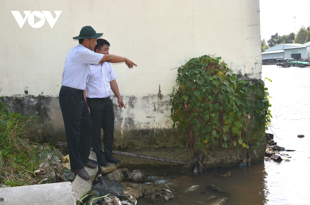 bao dong sat lo lon tai bo song mo cay, ben tre hinh anh 2