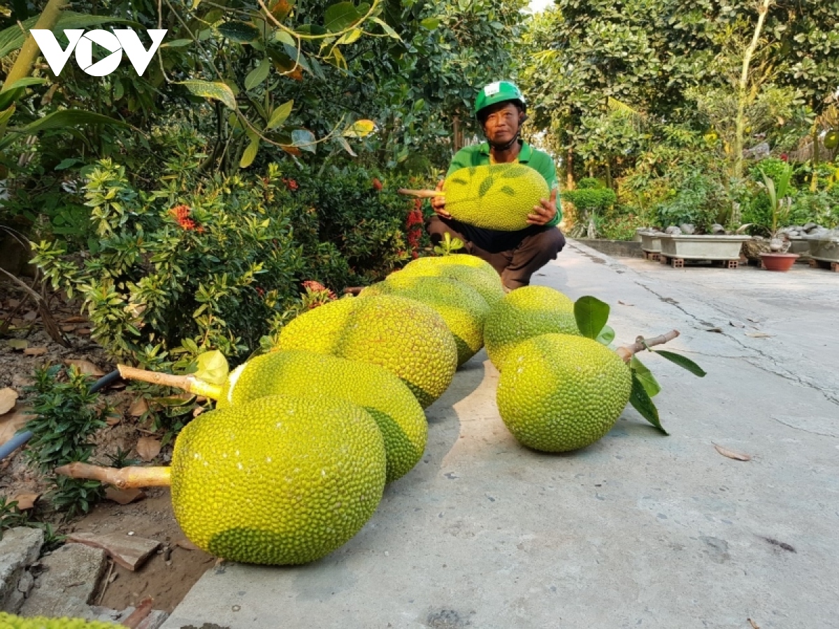 mit indo gia 100.000 dong kg, nguoi trong mung duoc mua duoc gia hinh anh 1