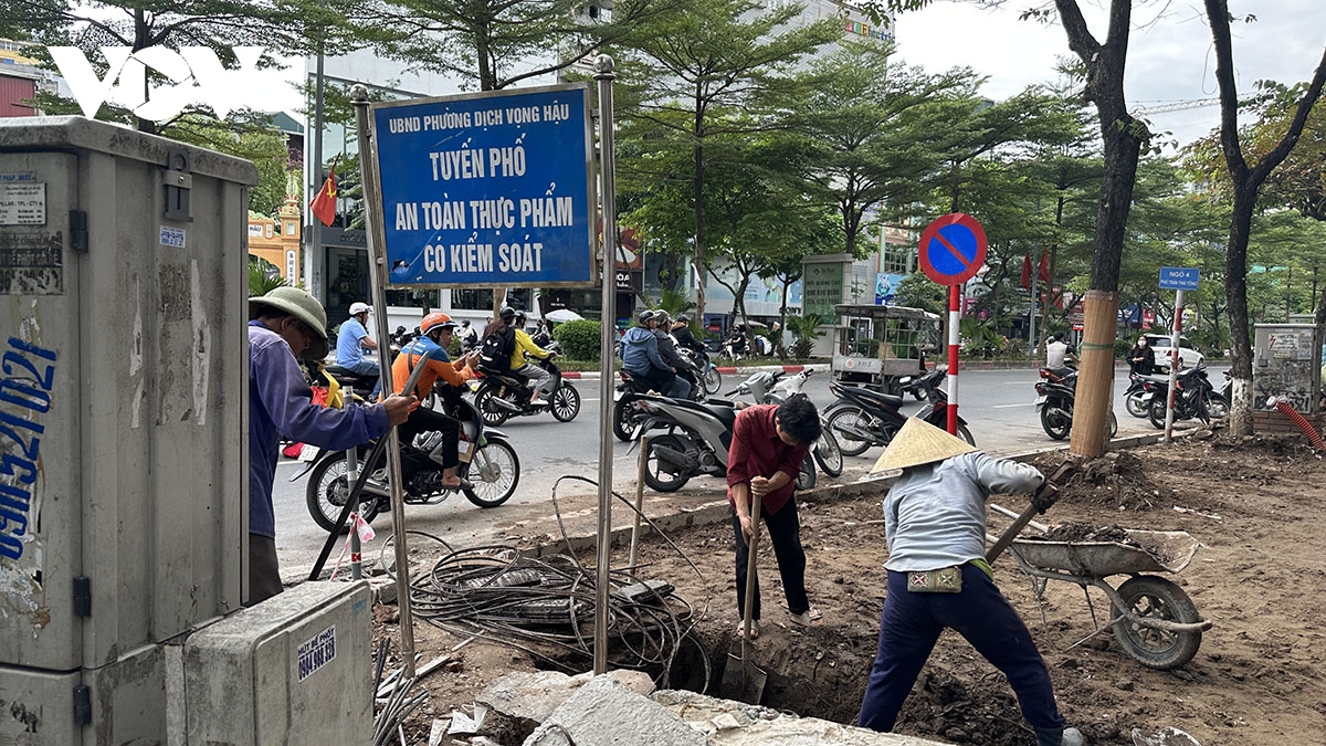 via he dao boi.jpg