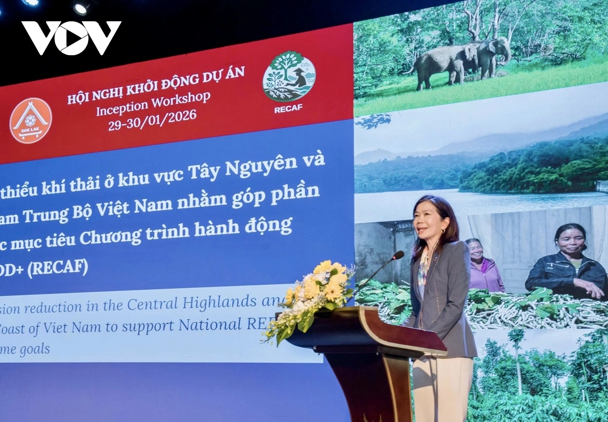 Bà Pauline Tamesis, Điều phối viên thường trú Liên Hợp Quốc tại Việt Nam đánh giá cao vai trò của dự án RECAF trong góp phần thực hiện Thỏa thuận Paris về biến đổi khí hậu tại Việt Nam.