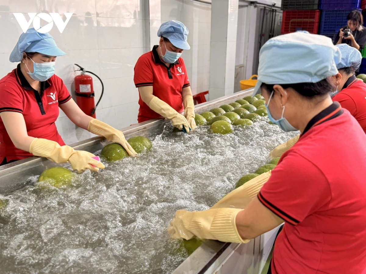 12-2 nong san xuat khau.jpg