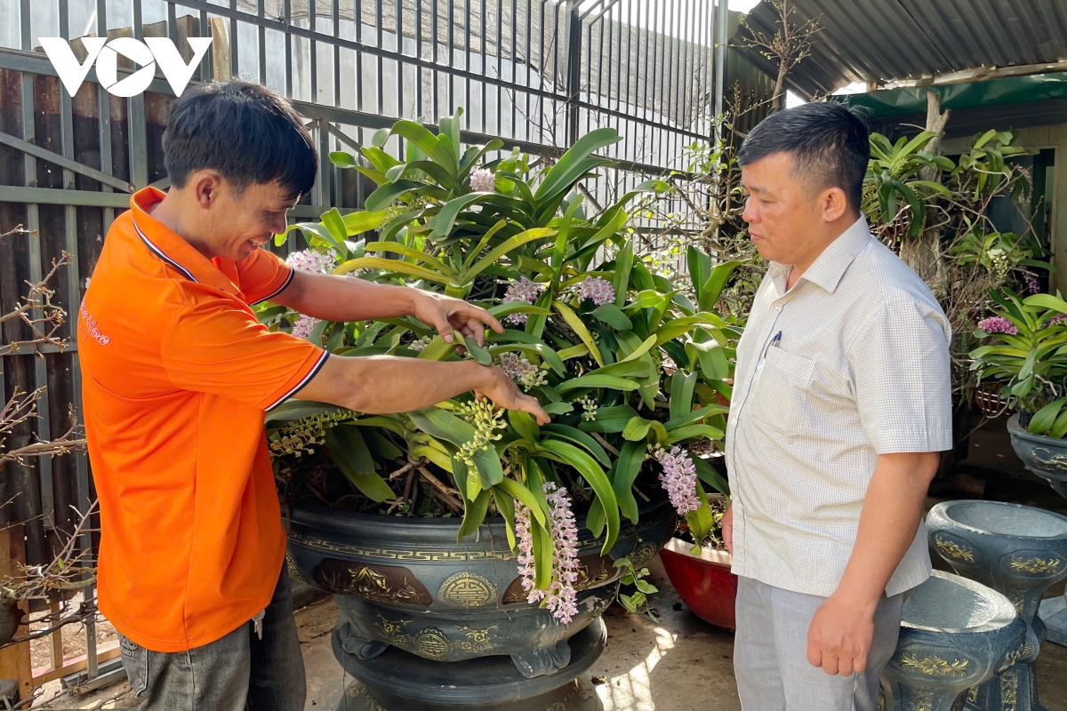 Ông Nguyễn Hải Hoàng, chủ vườn Lan Nghinh Xuân ở phường Thành Nhất, tỉnh Đắk Lắk chăm chút  những chậu hoa đẹp nhất để đáp ứng nhu cầu ngày càng cao của khách hàng.