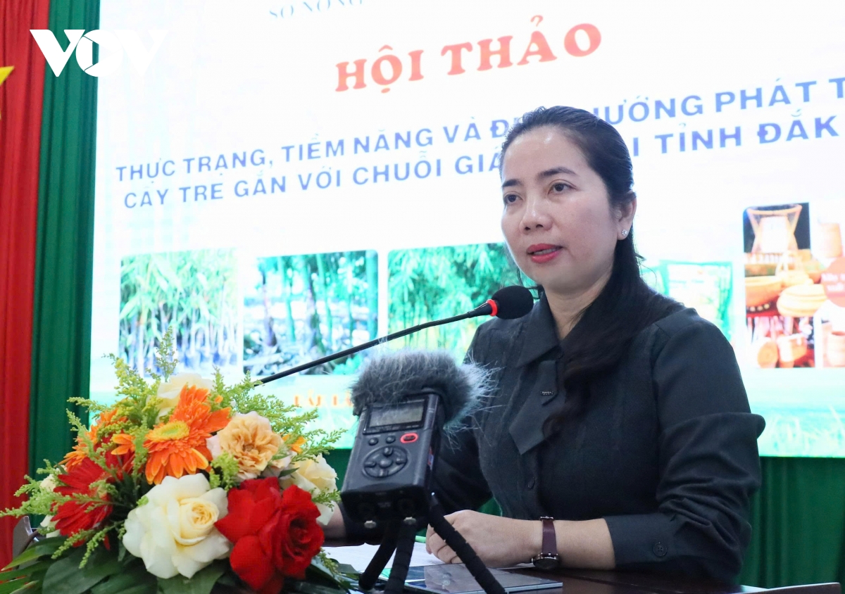 Bà Đặng Thị Thuỷ, Phó Giám đốc Sở Nông nghiệp và Môi trường tỉnh Đắk Lắk khẳng định cây tre sẽ mở ra cơ hội phát triển mới trên vùng đất khô cằn, nghèo dinh dưỡng.